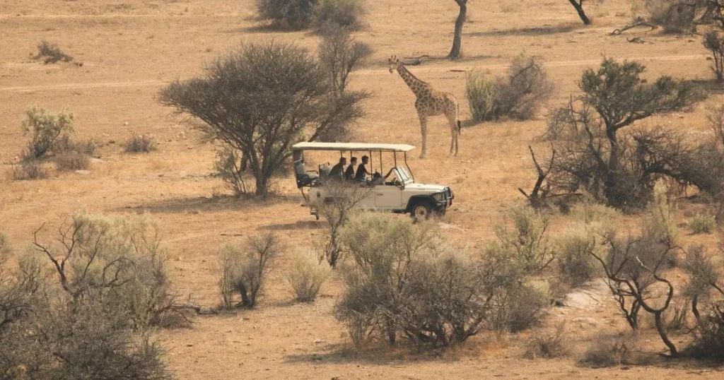 safari trip to africa