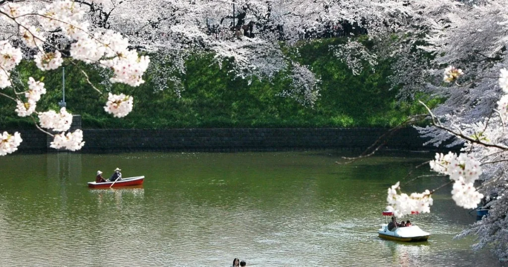 best time of year to visit japan