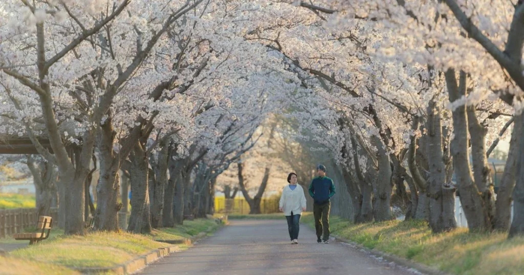 best time of year to visit japan