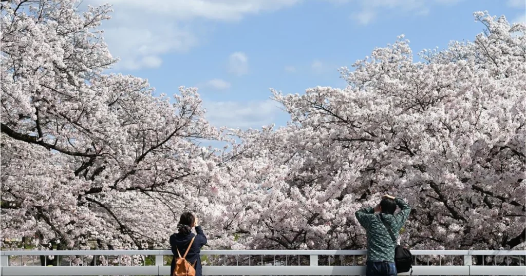 best time of year to visit japan