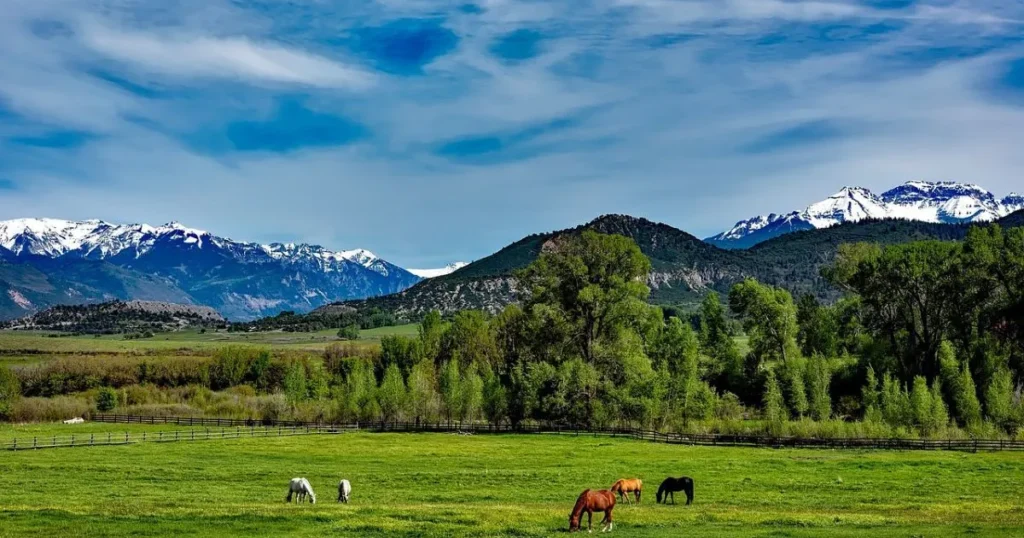 best time to travel to colorado