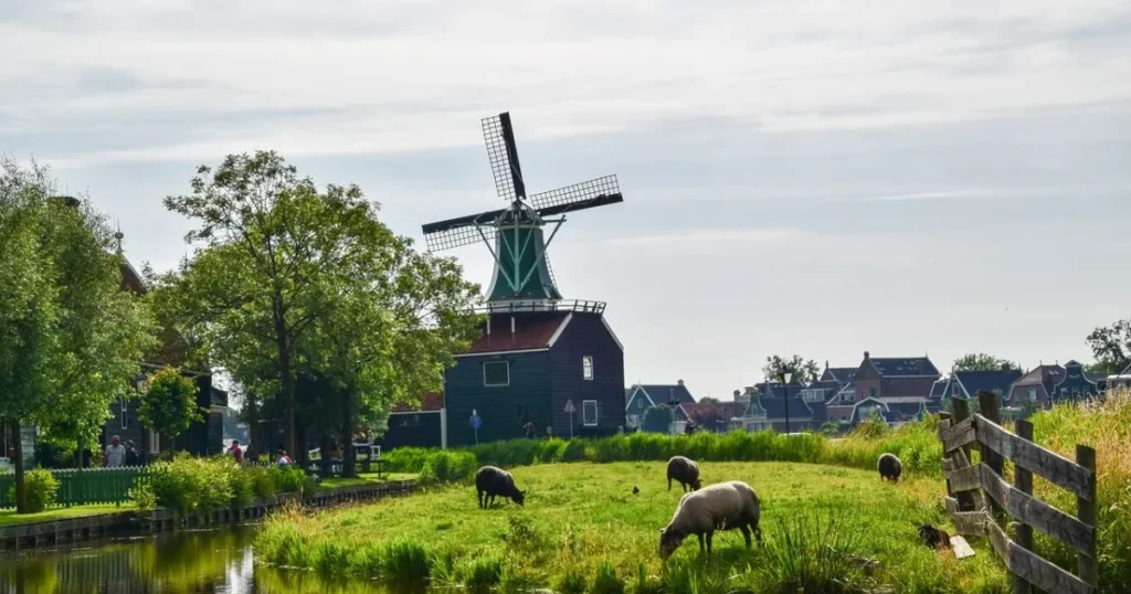 day trips from amsterdam