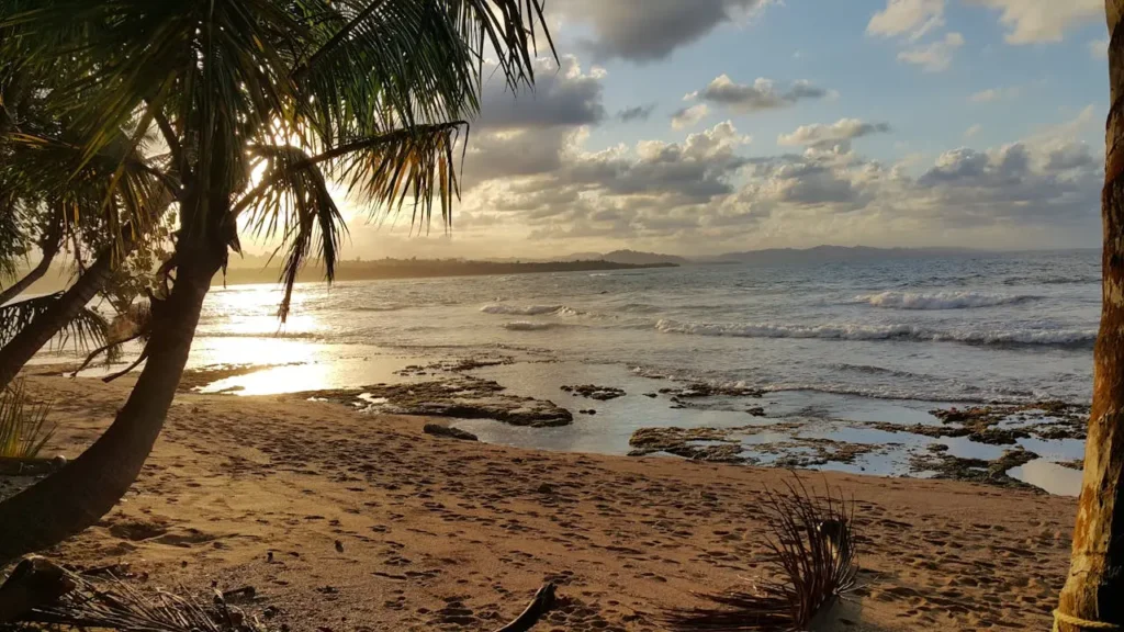 Best Time to Travel to Puerto Vallarta