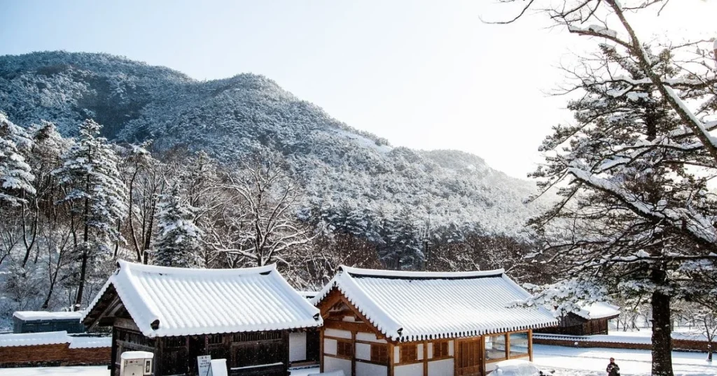 best time to travel to korea