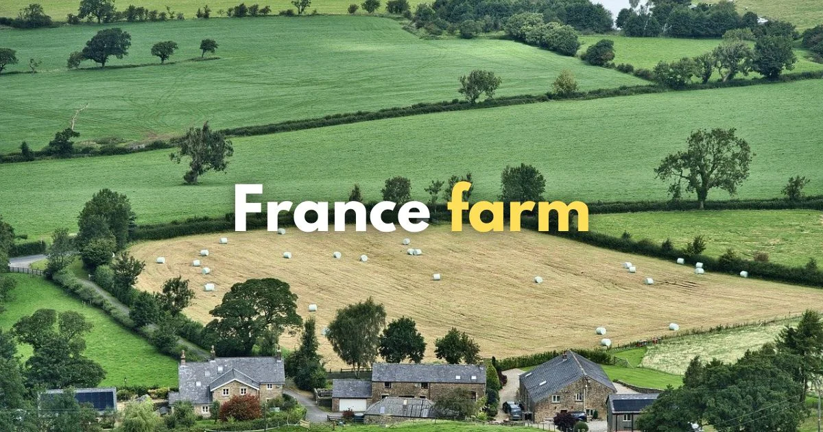 farm trip to france